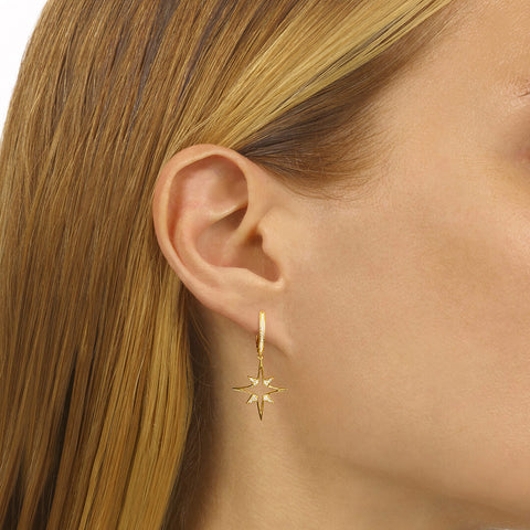 Yellow Gold Diamond Earrings